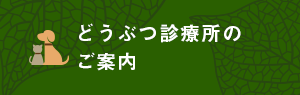 どうぶつ診療所のご案内